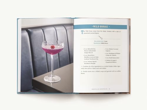 Nashville Cocktails: An Elegant Collection of Over 100 Recipes Inspired by Music City (City Cocktails)