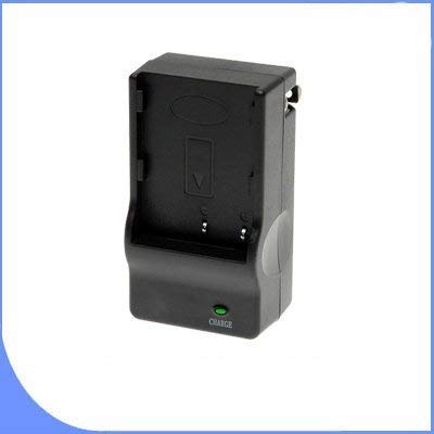 BigVALUEInc Saver Accessory Bundle - Replacement Lithium Ion Battery for...