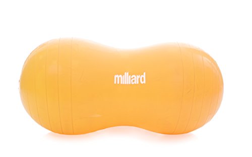 About Milliard Anti-Burst Approximately Exercise Birthing Best Reviews Milliard Anti-Burst Approximately Exercise Birthing