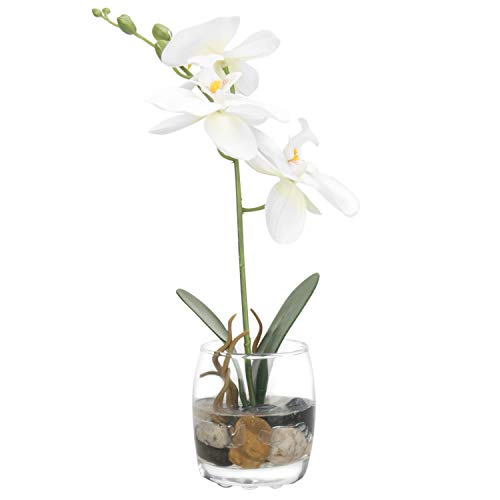 Amazon Com Mygift Mini Synthetic Silk Artificial Phalaenopsis