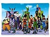 New Unique Dragon Ball Z Custom Rectangle Pillow Case Cover 20 inch x 30 inch one side