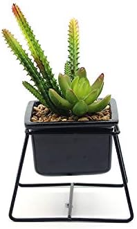 Artificial Succulents in White Mini Ceramic Pots | Hyper Realistic Look in Interesting Home Decor Colours | Small Fake Potted Indoor Plants for Home or Office Decorating Gifts (Metal Stand)