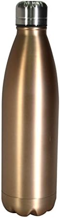 Coffee Travel Mug Cup Tumbler 20 oz Leak-Proof 18/8 Stainless Steel Double Walls Vacuum Insulated Mug Set with Lid and Straw (17 oz brown)