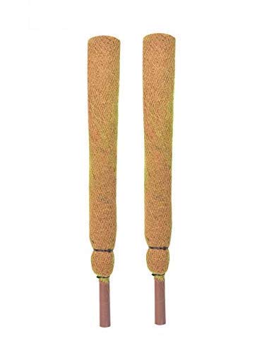 COIR GARDEN Coir Moss Stick/Coco Pole for Climbing Money Plants, Indoor and Outdoor Plants 1.5 ft, 45 cm - Set of 2