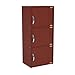 Hodedah 3 Door Bookcase Cabinet, MAHOGANY