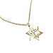 TrueFaithJewelry 14KT Gold Plated Sterling Silver Star of David Cross Pendant Two-Tone Necklace Religious Jewelry, 5/8 Inch