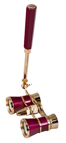 4 Levenhuk+Broadway+Glasses+lorgnette+accessory