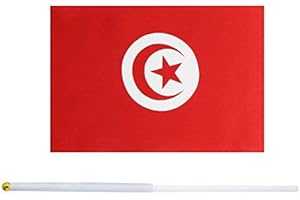 KIND GIRL 50 Pack Hand Held Small Mini Flag Tunisia Flag Tunisian Flag Stick Flag Round Top National Country Flags,Party Decorations Supplies For Parades,World Cup,Sports Events,International Festival