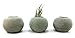 ORB Concrete Succulent Planters / Air Plant Holders. (Set of 3) Natural Gray.