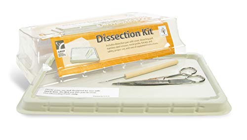American Educational Economy Dissection Student Kit