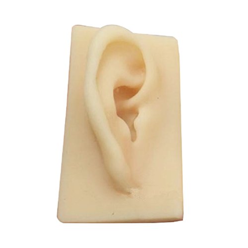 Tinsay Natural Size Human Right Ear Model Life Size Silicone Ear Acupuncture Practice Model - Thumbnail 3