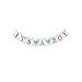 Baby Shower Party Decorations Set for Boy - Perfect All in One Supplies Bundle, It's A BOY Banner, Mommy to Be Sash, Cute Photo Booth Props, 6/6'' Pom Poms [Blue, Light Blue, White], 10 Balloons