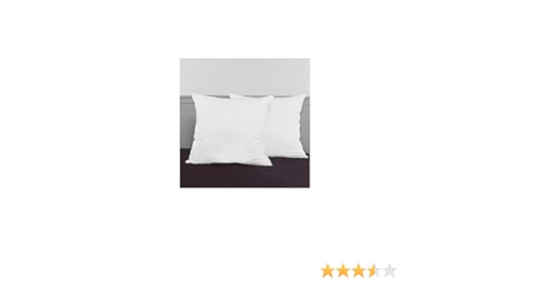 Amazon Com Decorator 28x28 Inch Euro Pillow Set Set Of 2 Home