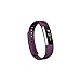 Fitbit Alta Classic Accessory Band, Plum Large