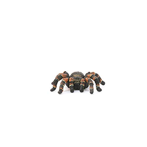 schleich 14829 Vogelspinne, für Kinder ab 3+ Jahren, WILD LIFE - Spielfigur – Bild 4