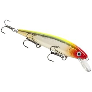 Strike King Kvd Jerkbait 3 Hook, Clown, 5.5-inch