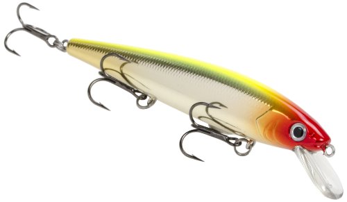 Strike King Kvd Jerkbait 3 Hook, Clown, 5.5-inch