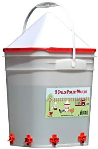 RentACoop 5 Gallon Chicken Waterer