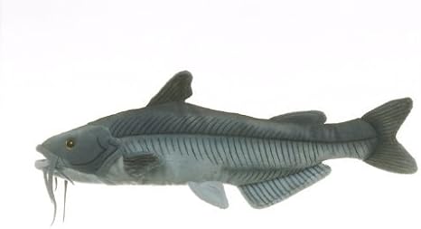 stuffed catfish toy