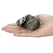 LtrottedJ Adorable Squishies Soft Sloth Slow Rising Fruit Scented Stress Relief Toys Gifts