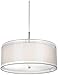 Possini Euro Design Double Drum Brushed Nickel Pendant Chandelier 20
