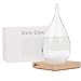 Large Storm Glass Weather Predictor - Weather Forecast - Weather Drop Barometer - Desk Decorations, Best Giving for Unique Christmas Gift