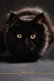 Journal: Black Cat Lined Diary Journal by 