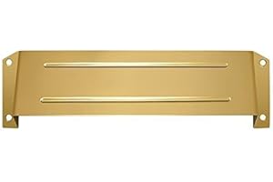 DELTANA Privacy Mail Slot Finish: PVD Polished Brass