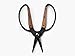 Barebones Garden Tool | Walnut Scissors, Smallthumb 2