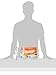Iams Pate Adult Wet Cat Food, Variety Pack Salmon & Ocean Fish, 3 Oz. (Pack Of 24)