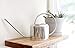 HENSITA Silver Stainless Steel Mini Watering Can for Indoor/Outdoor Plants, Perfect for Succulents, Bonsai, and Decoration