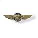 767 Wings Pin