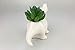 VanEnjoy Cute Cartoon Dinosaur Ceramic Succulent Planter, Water Culture Hydroponics Bonsai Cactus Flower Pot,Air Plant Vase Holder Desktop Decorative Organizer (Triceratops, White)