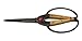 Barebones Living Garden Tool | Scissors, Large