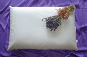 'Beans72 Organic Aromatherapy Buckwheat Pillow – 14 "x 20") by Beans72 Japanese Size Buckwheat Pillows