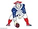 New England Patriots 
