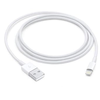 Apple Lightning to USB Cable (1 m)