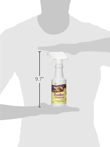 Manna Pro 0502035355 Ready-to-Use Poultry Protector for Birds, 16-Ounce