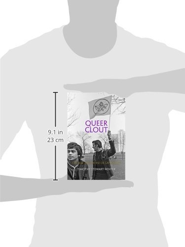 Queer Clout Chicago And The Rise Of Gay Politics Politics And