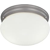 Designers Fountain 9 in 2-Light Flush Mount Ceiling Light with Frosted Glass Shade, Pewter, 4732-PW