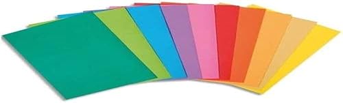 Exacompta - Ref 800001E - Rocks Square Cut Folder - 220 x 310mm in Size, Suitable for Holding A4 Documents, 80gsm Coloured Paper -Assorted Colours (Pack of 100)
