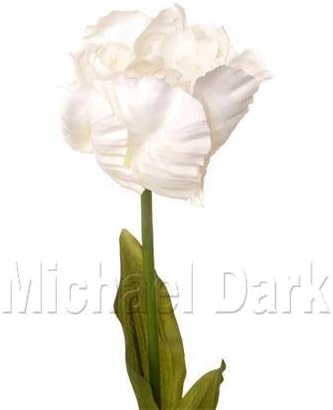 80cm Artificial Rococo Parrot Tulip - White