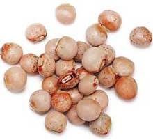 Jack Rabbit Pigeon Peas - 50 lb. package, 1 package per case