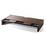 SANWA Stable Desk Monitor Stand Riser with Metal