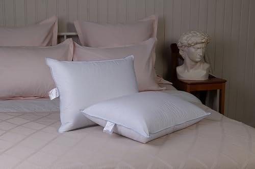 Goose House™ Set of 2 Natural Goose Feather 85% and Down 15% Pillows for sleeping 100% cotton fabric cover. Pillows for sleeping set of 2 Standard size 20 x 26in