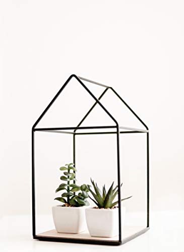 2 Succulent+Plants+Pack+Succulents+Decoration