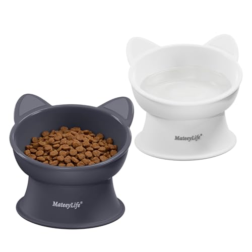 MateeyLife Raised Pet Bowl Set
