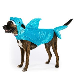 Top Paw Shark Halloween Dog Costume~Xs~