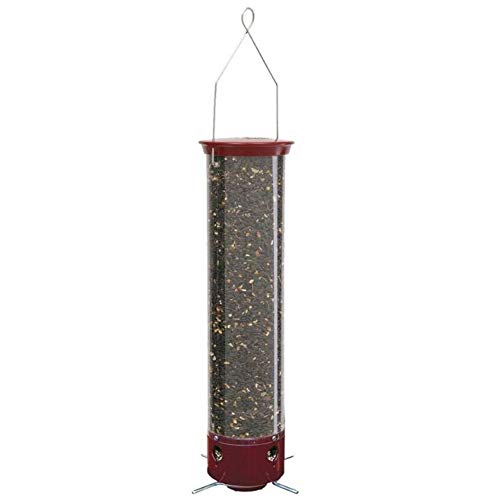 Droll Yankees Yankee Dipper Squirrel-Proof Birdfeeder, 21 Inches, 4 Ports, Burgundy