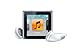 Apple iPod nano 8 GB Graphite (6th Generation) Discontinued Model (In Plain White Box)